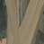 pic1